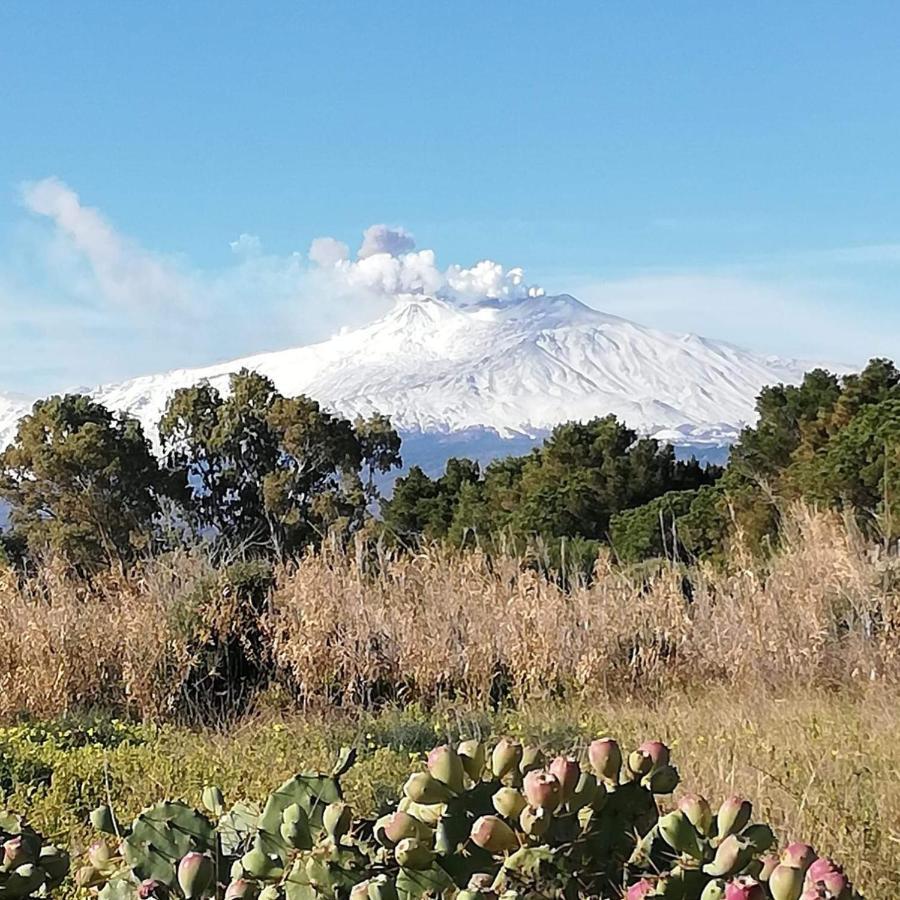 Casa Donna Rosaria Tra Etna E Taormina Leilighet Riposto Eksteriør bilde