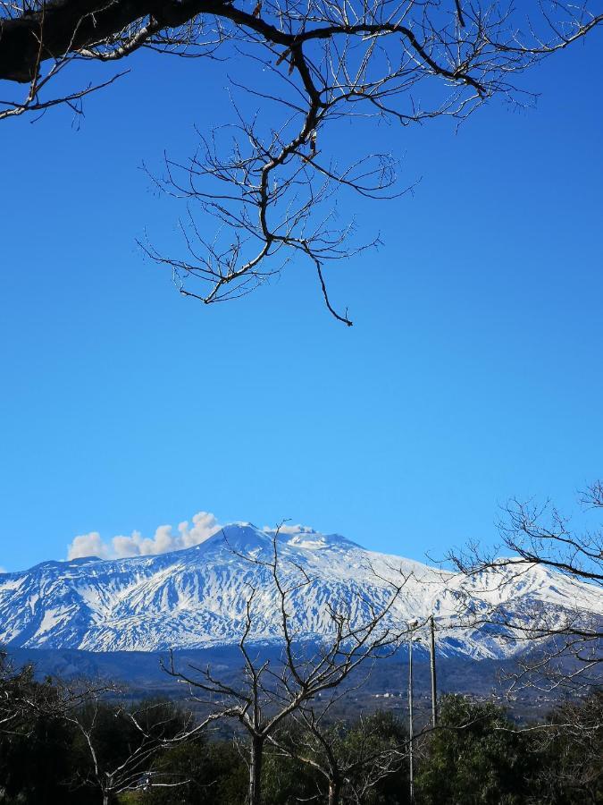 Casa Donna Rosaria Tra Etna E Taormina Leilighet Riposto Eksteriør bilde